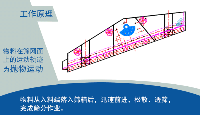 大型超污91视频