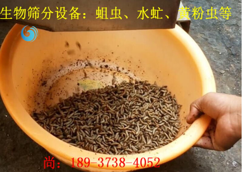 蛆虫筛选3层91视频软件APP下载